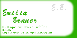 emilia brauer business card